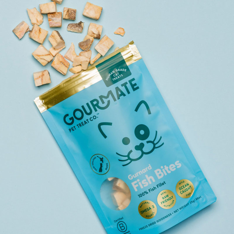 ミニ・ホウボウ（白身魚）