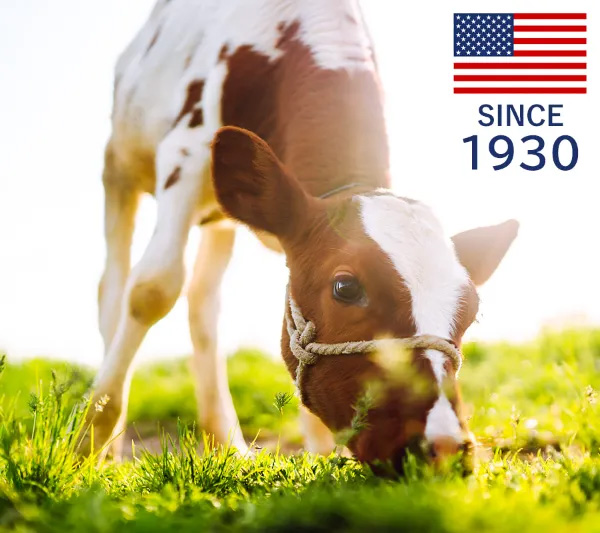 エスビラックの歴史