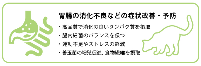 胃腸の消化不良などの症状改善・予防