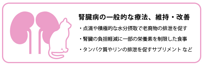 腎臓病の一般的な療法、維持・改善