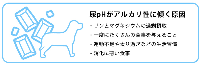 尿pHがアルカリ性に傾く理由