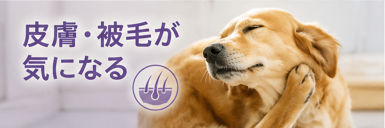 皮膚・被毛