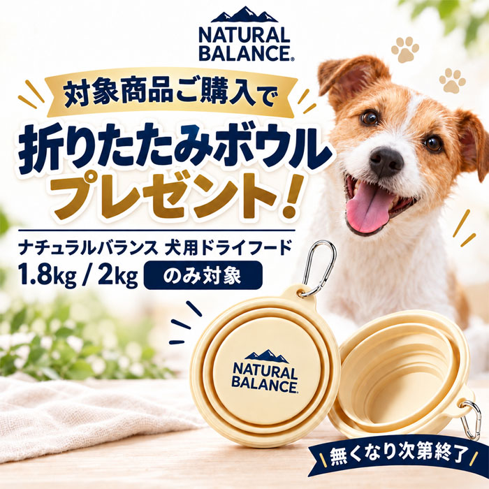 NBオリジナル折りたたみボウルキャンペーン